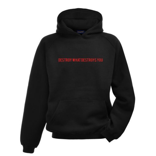 Destroy What Destroys You Hoodie