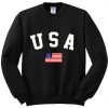 USA Flag Sweatshirt