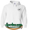 Hollister hoodie