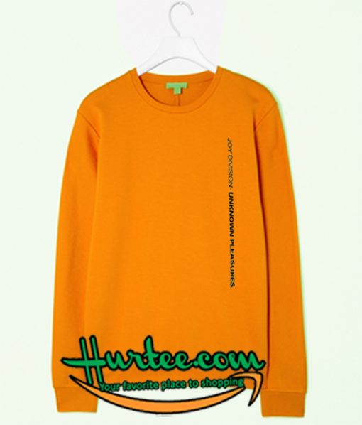 Joy Division Unknown Pleasure sweatshirt