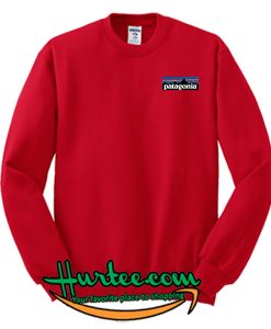 patagonia sweatshirt