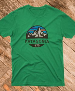 Patagonia T Shirt