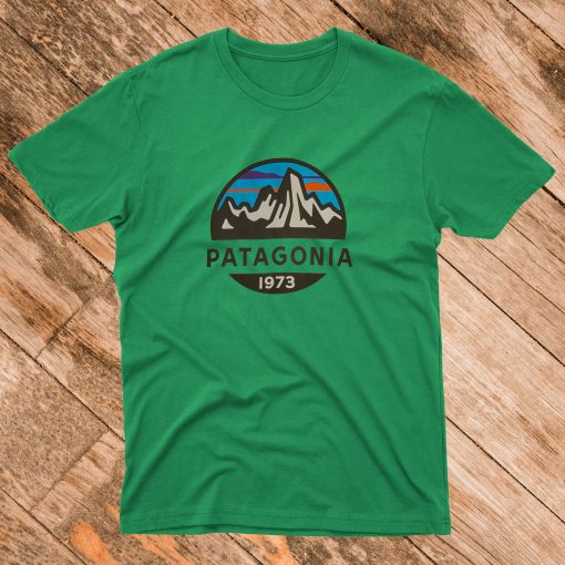 Patagonia T Shirt