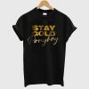 Stay Gold Ponyboy T Shirt