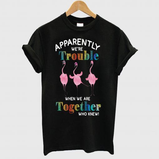 Apparently We’re Trouble When We Are Together Who Knew T Shirt