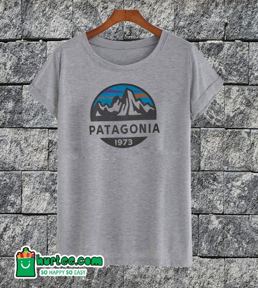 Patagonia T-shirt