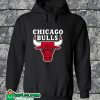 Chicago Buls Logo Hoodie